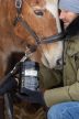 EQUI-JOINT – komplex ízületi komfort támogatás, 800 gramm