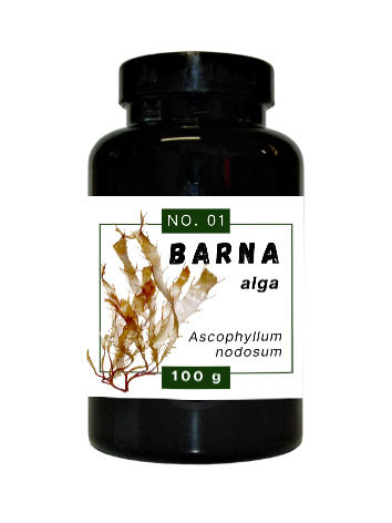 Barna alga 100g